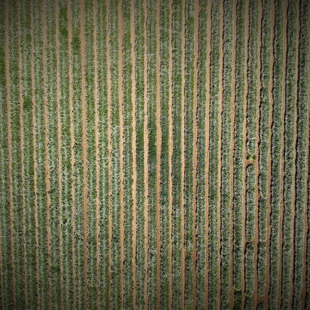 DCIM/101MEDIA/DJI_0045.JPG