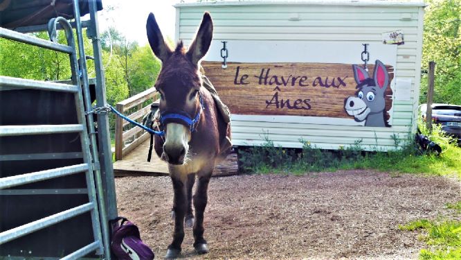 reportage balade en âne